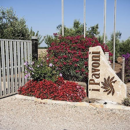 Agrimare I Pavoni Apartman Montalto di Castro Kültér fotó