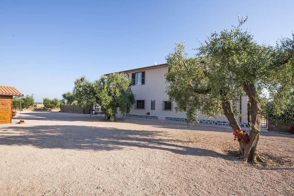 Agrimare I Pavoni Apartman Montalto di Castro Kültér fotó