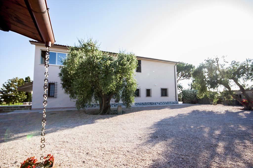 Agrimare I Pavoni Apartman Montalto di Castro Kültér fotó