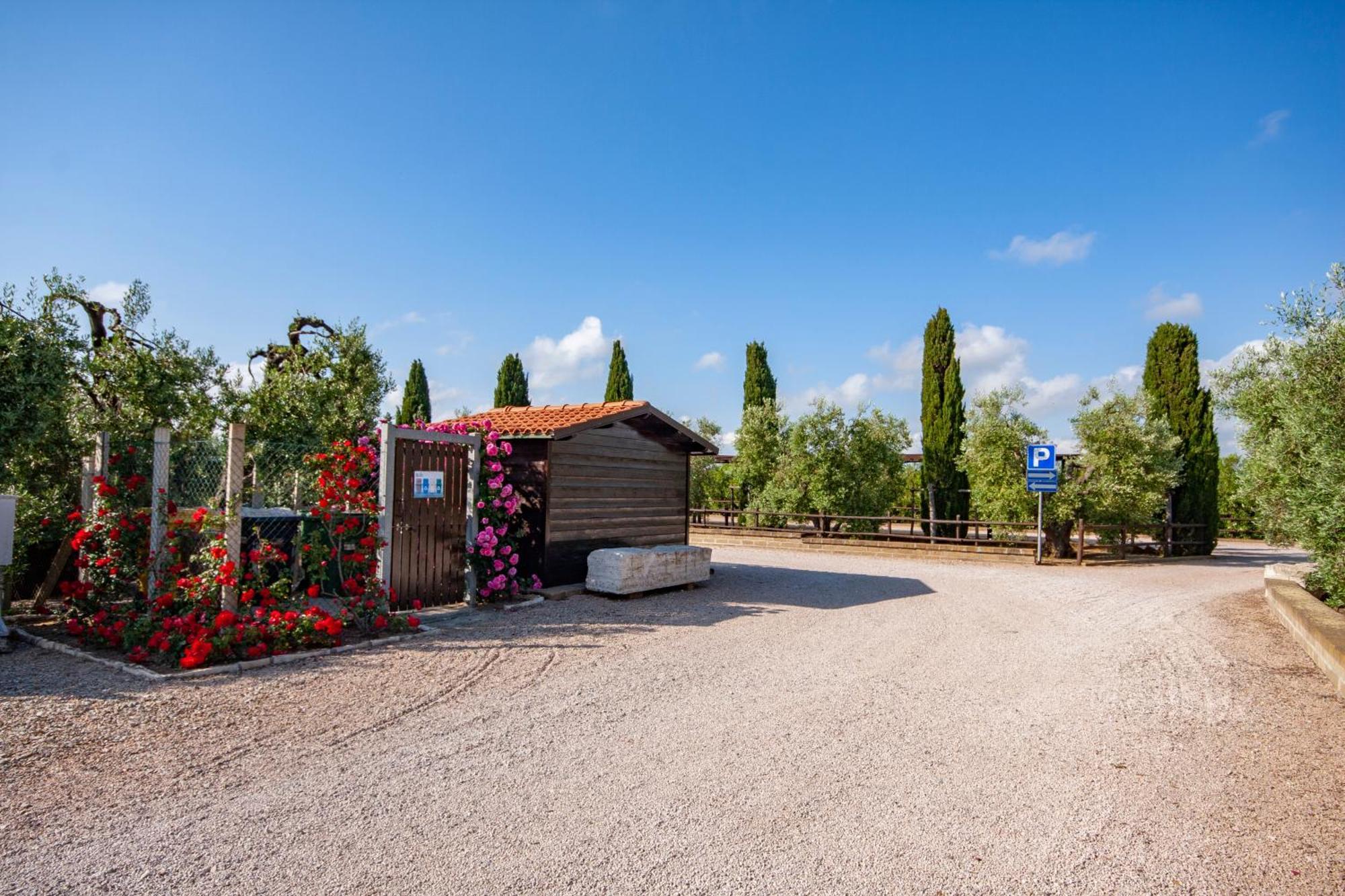 Agrimare I Pavoni Apartman Montalto di Castro Kültér fotó